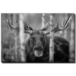 Forest Monarch Wall Art - Grey - 30 X 45