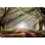 Journey Within Wall Art - Brown/Green - 22 X 28