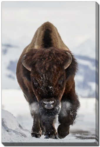Charging Bison Wall Art - Brown - 16 X 20