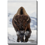 Charging Bison Wall Art - Brown - 16 X 20