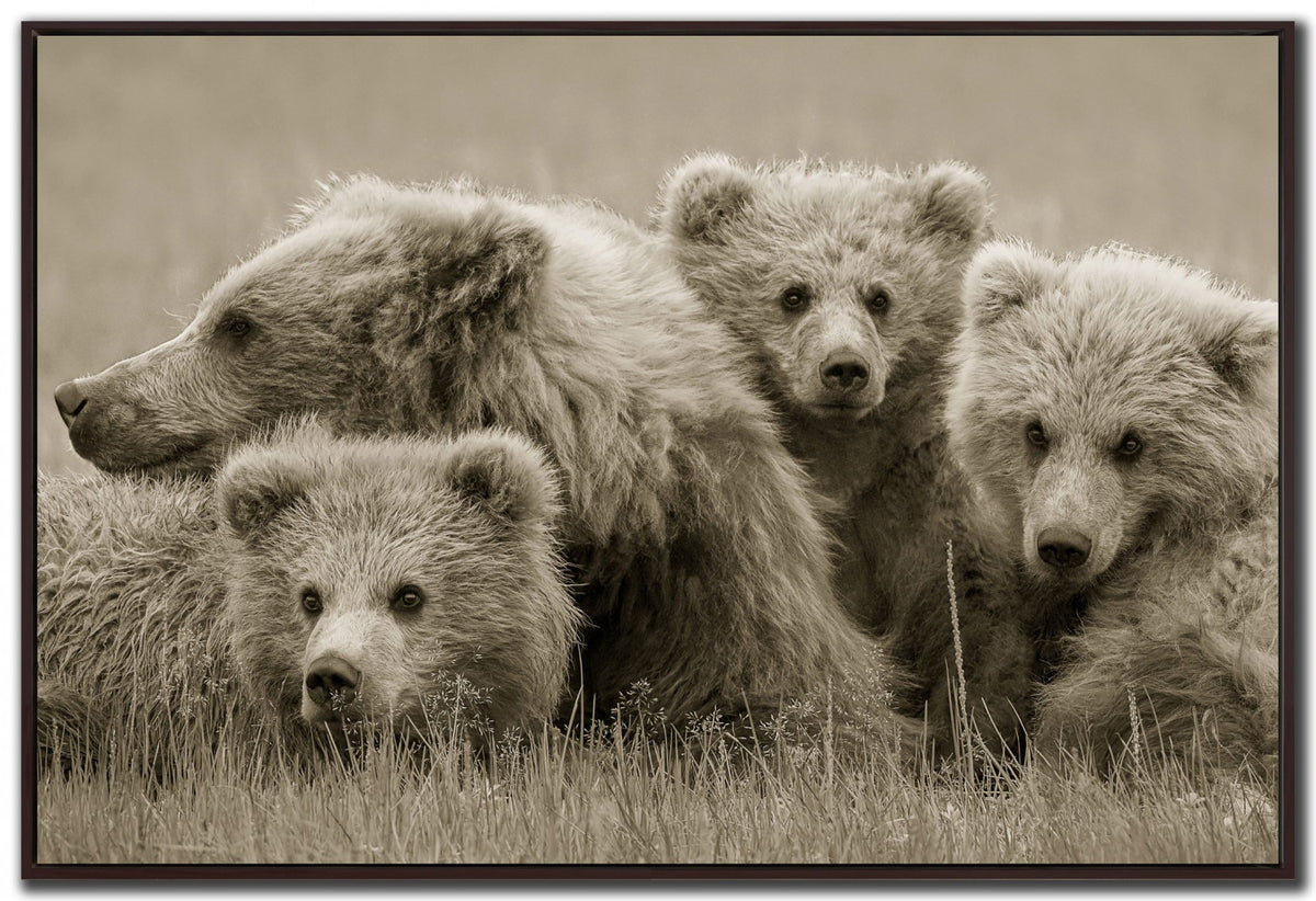Nature's Legacy Wall Art - Brown - 30 X 45