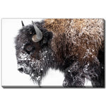 Winter Coat Wall Art - Brown - 22 X 28