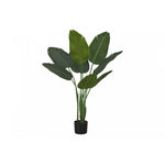 44" Bird Of Paradise Plant With 5" Black Pot - Green