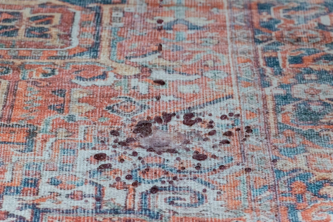 Aura Traditional Rug - 6' x 9' - Red/Blue