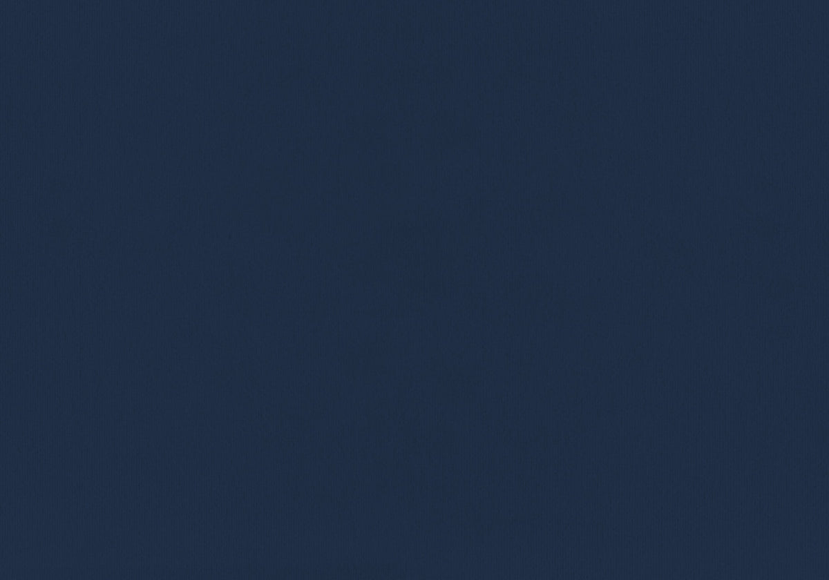Felicity Twin Bed - Navy Blue
