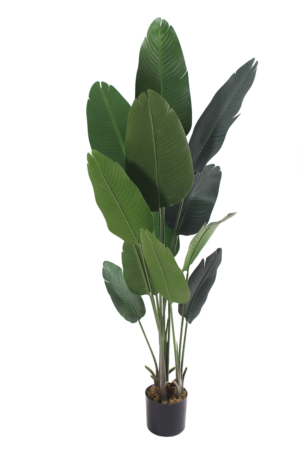 Garden Party 5.91ft Artificial Indoor Banana Tree