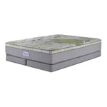 In Full Bloom - BeautySleep Max Drift Euro Top Medium King Mattress and Low Profile Split Boxspring Set