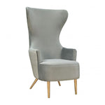 Elray Velvet Wingback Accent Chair - Grey