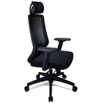 Dinah Ergonomic Office Chair - Graphite
