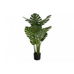 45" Monstera Plant With 6" Black Pot - Green