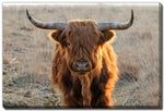 Dusk Wanderer Wall Art - Brown - 16 X 20