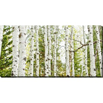 Birch Harmony Wall Art - Green - 30 X 60