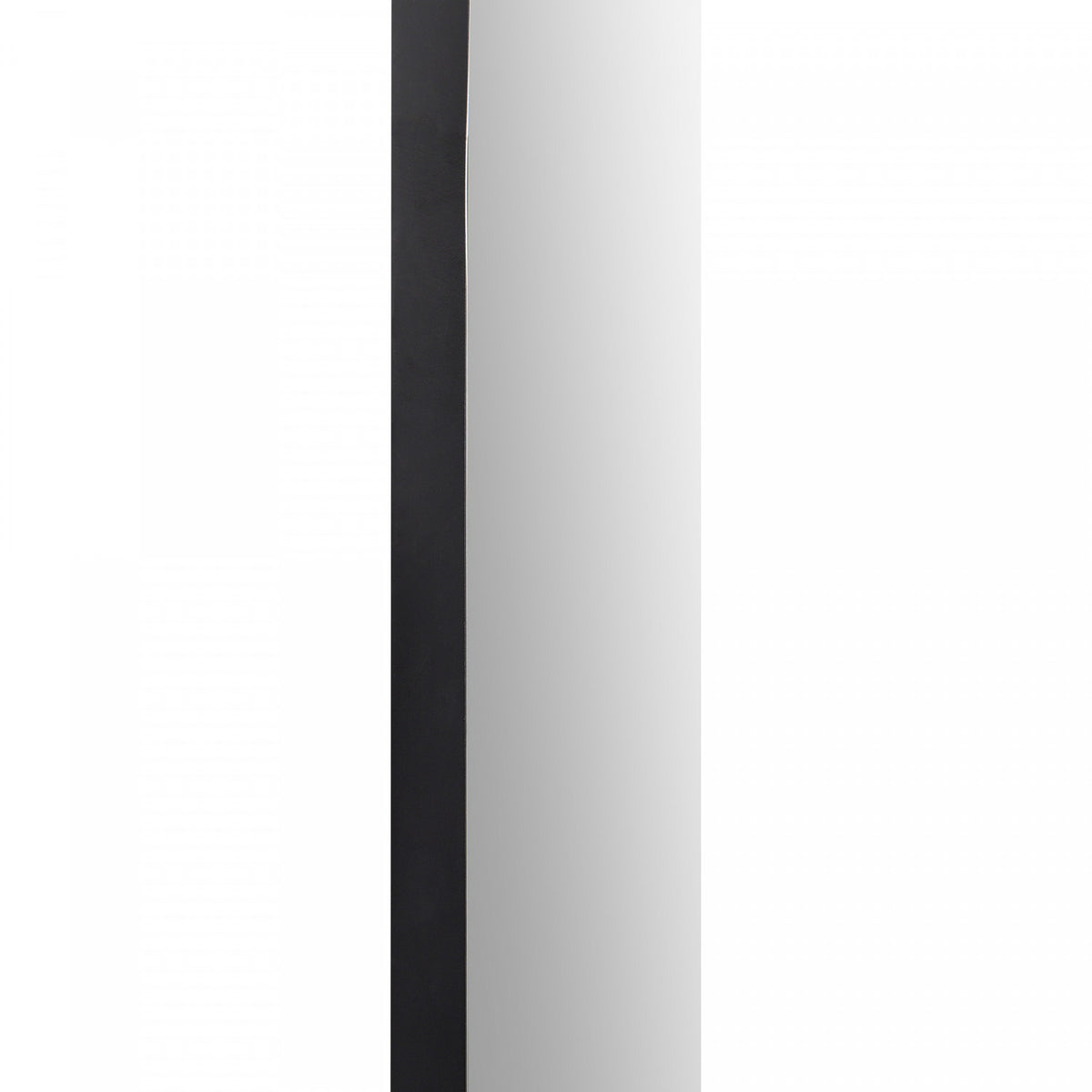 Webs Accent Mirror - Black