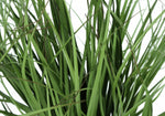 26" Grass Plant With 4" Black Pot - Green