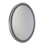 Reflections AM300 Mirror