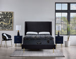 Beautyrest World Class Viscount Plush Queen Mattress and Boxspring Set