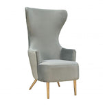 Elray Velvet Wingback Accent Chair - Grey